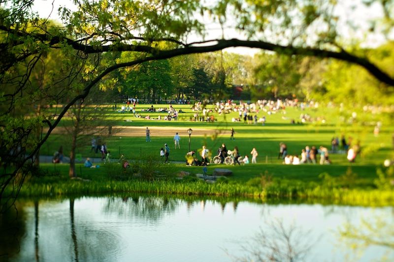 Great Lawn, Central Park