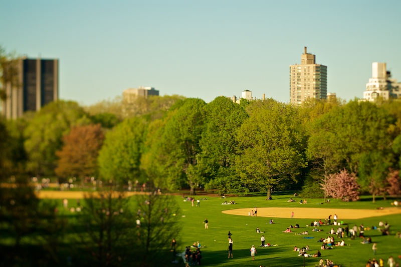Great Lawn, Central Park
